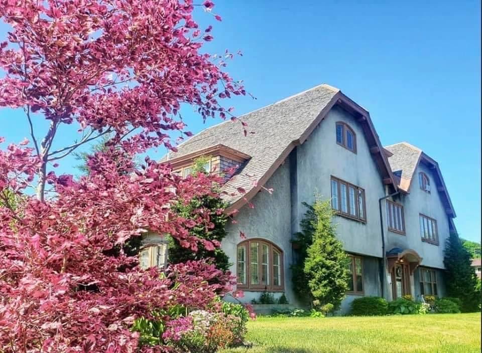A charming house with a steep roof is surrounded by lush greenery. A vibrant pink tree in full bloom stands in the foreground under a clear blue sky. A charming house with a steep roof is surrounded by lush greenery. A vibrant pink tree in full bloom stands in the foreground under a clear blue sky.